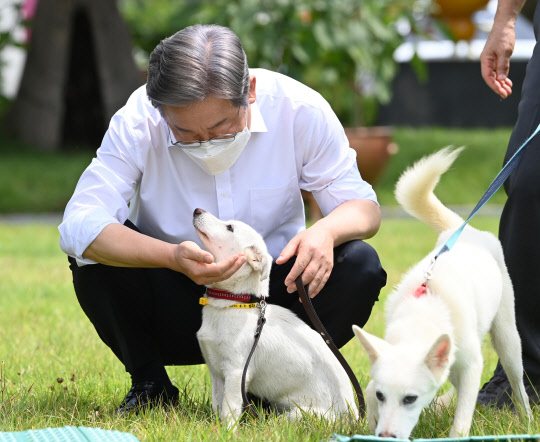 더불어민주당 대선 경선 후보인 이재명 경기도지사가 20일 경기도 고양시 덕양구 농업기술센터 내 잔디밭에서 열린 동물복지 공약 발표 기자간담회에서 동물보호센터 보호견 '오리'와 시간을 보내고 있다.   [국회사진기자단]